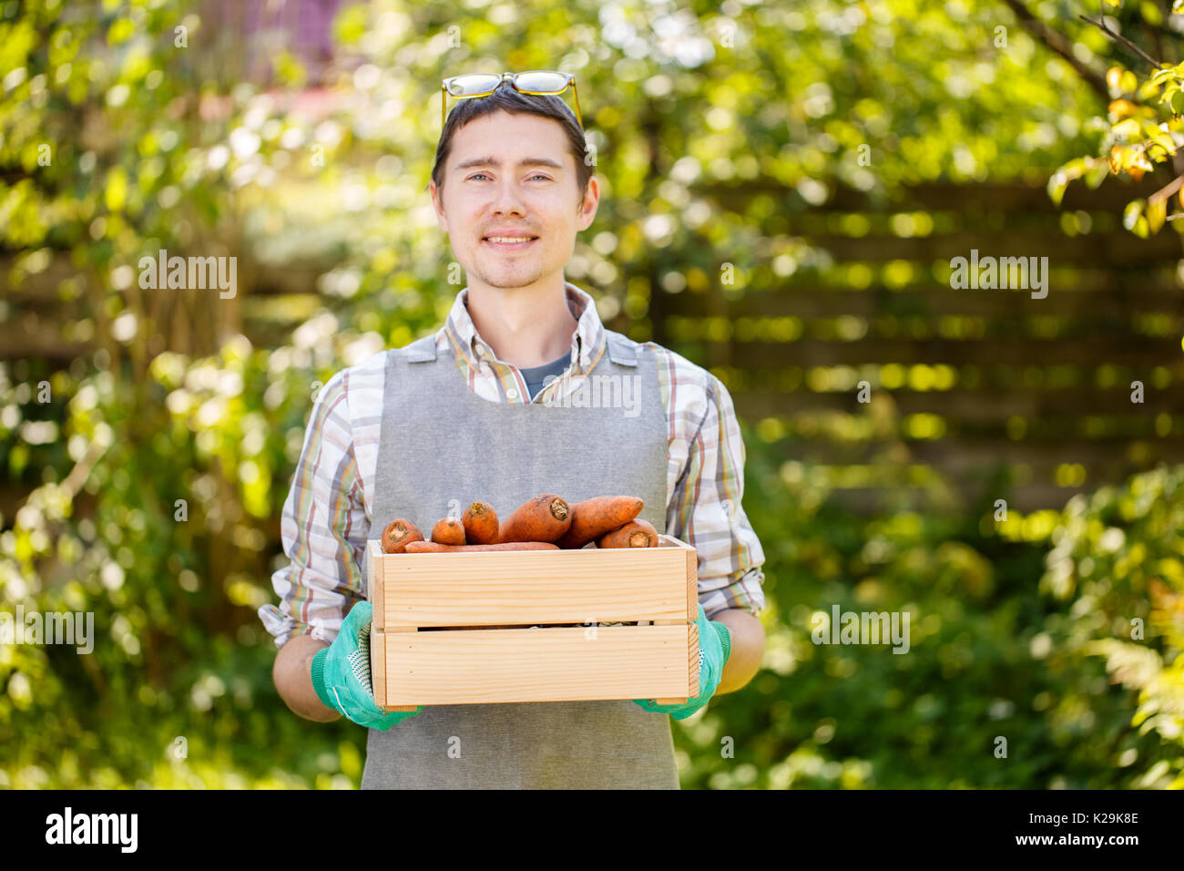 Brunette in apron holding carrots Stock Photo