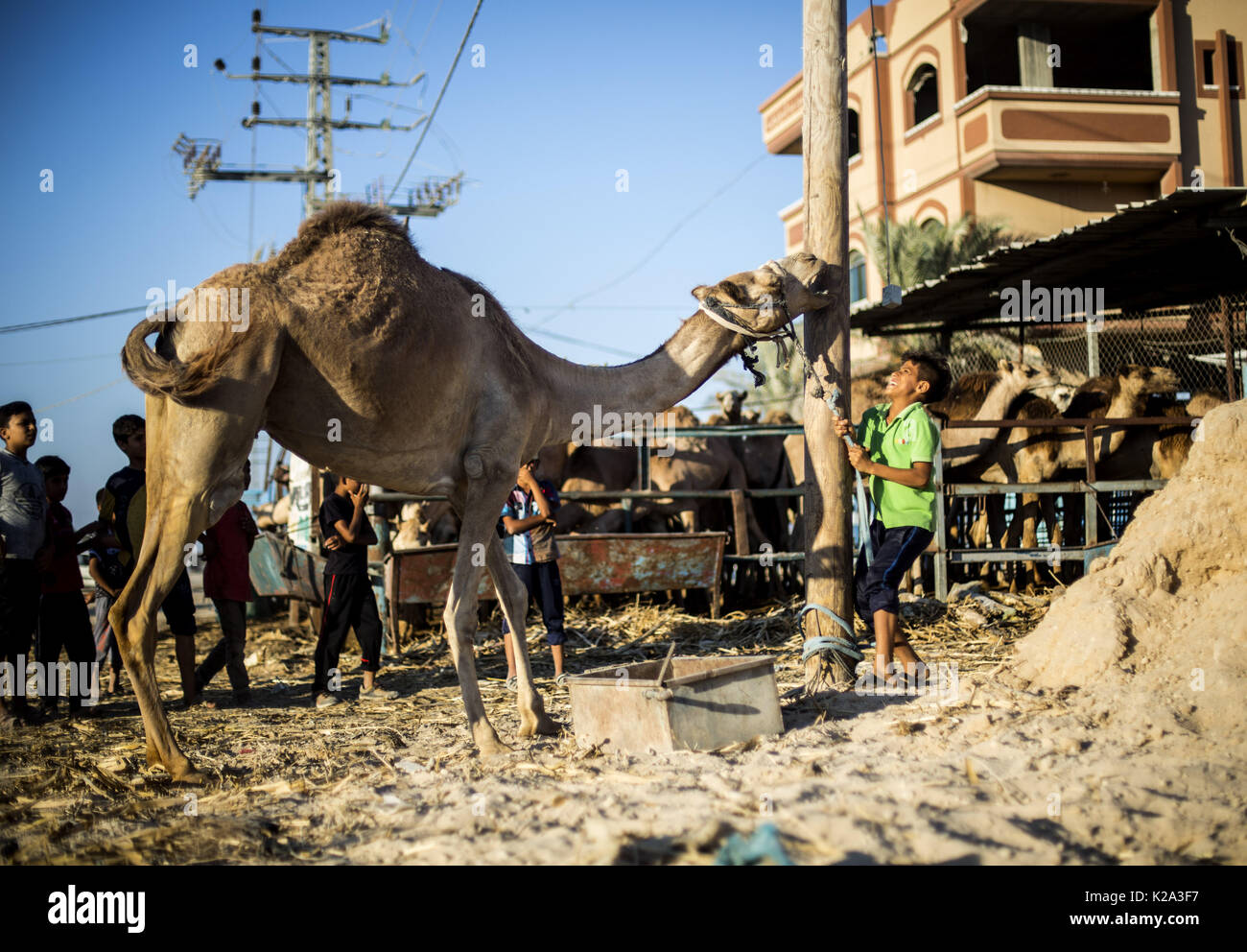 Gaza City, The Gaza Strip, Palestine. 29th Aug, 2017. The Palestinian ...