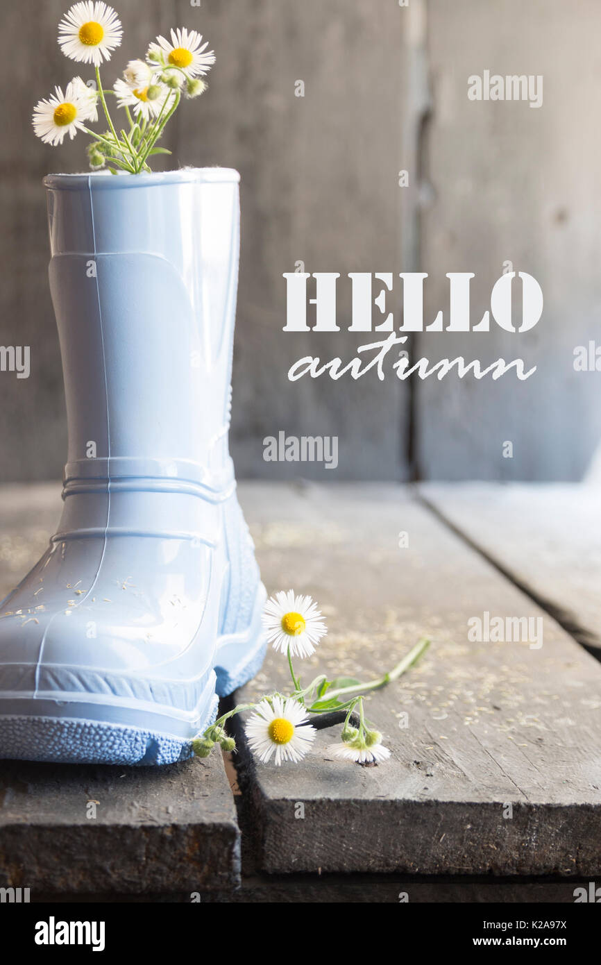 hello autumn, daisy and boots on a old vintage table Stock Photo