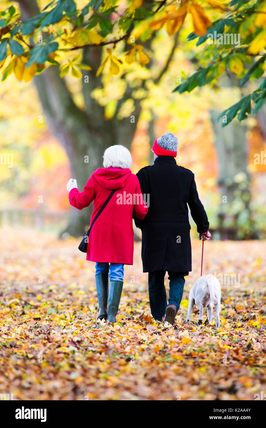 Senior couple are walking through the autumn woods with their pet dog ...