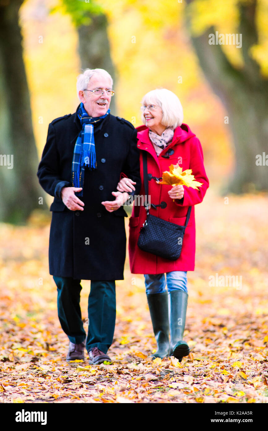 Senior couple are walking together through the autumn woods. The woman ...