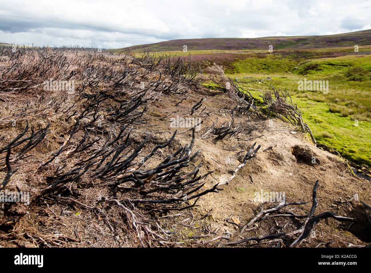 Heather burning to improve the moorland for grouse shooting, but in every other respect an environmentally damaging practice, Arkengarthdale, Yorkshir Stock Photo