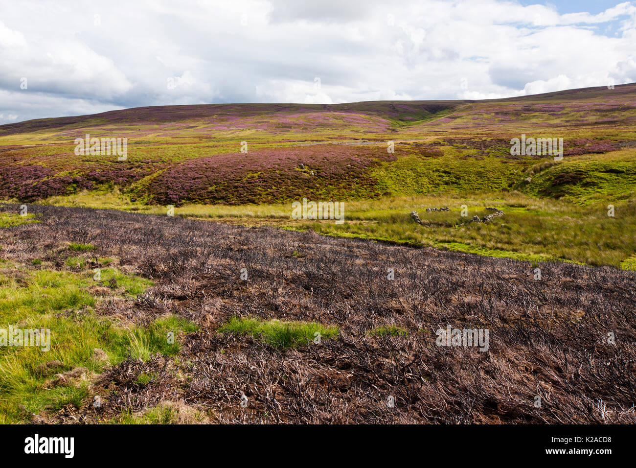 Heather burning to improve the moorland for grouse shooting, but in every other respect an environmentally damaging practice, Arkengarthdale, Yorkshir Stock Photo