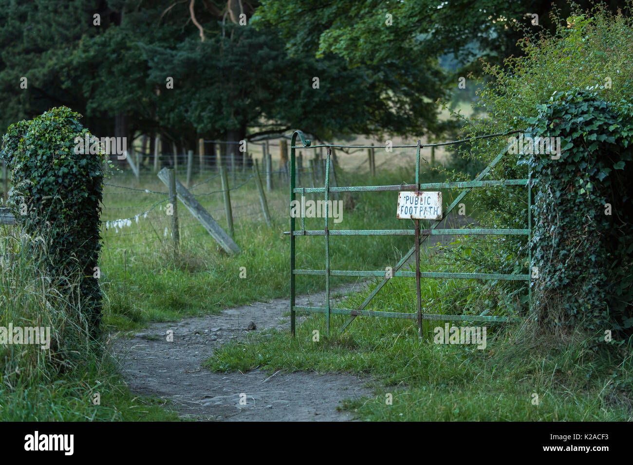 In a rural setting, a five-bar metal gate stands open & leads to a tree ...