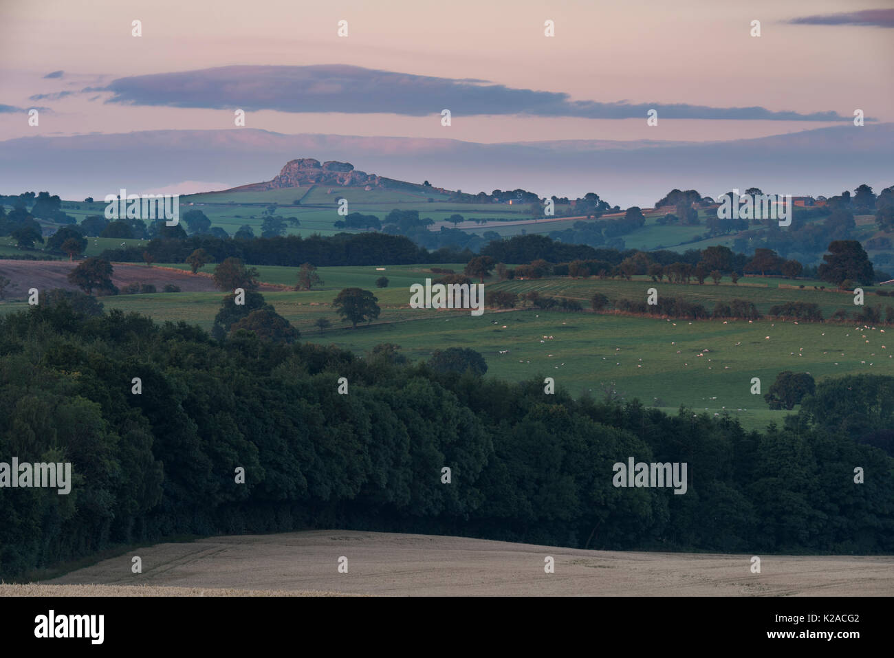 View under pink sky at sunset & across rolling farmland fields, of Almscliffe Crag, a distinctive high rocky outcrop - North Yorkshire, England, UK. Stock Photo