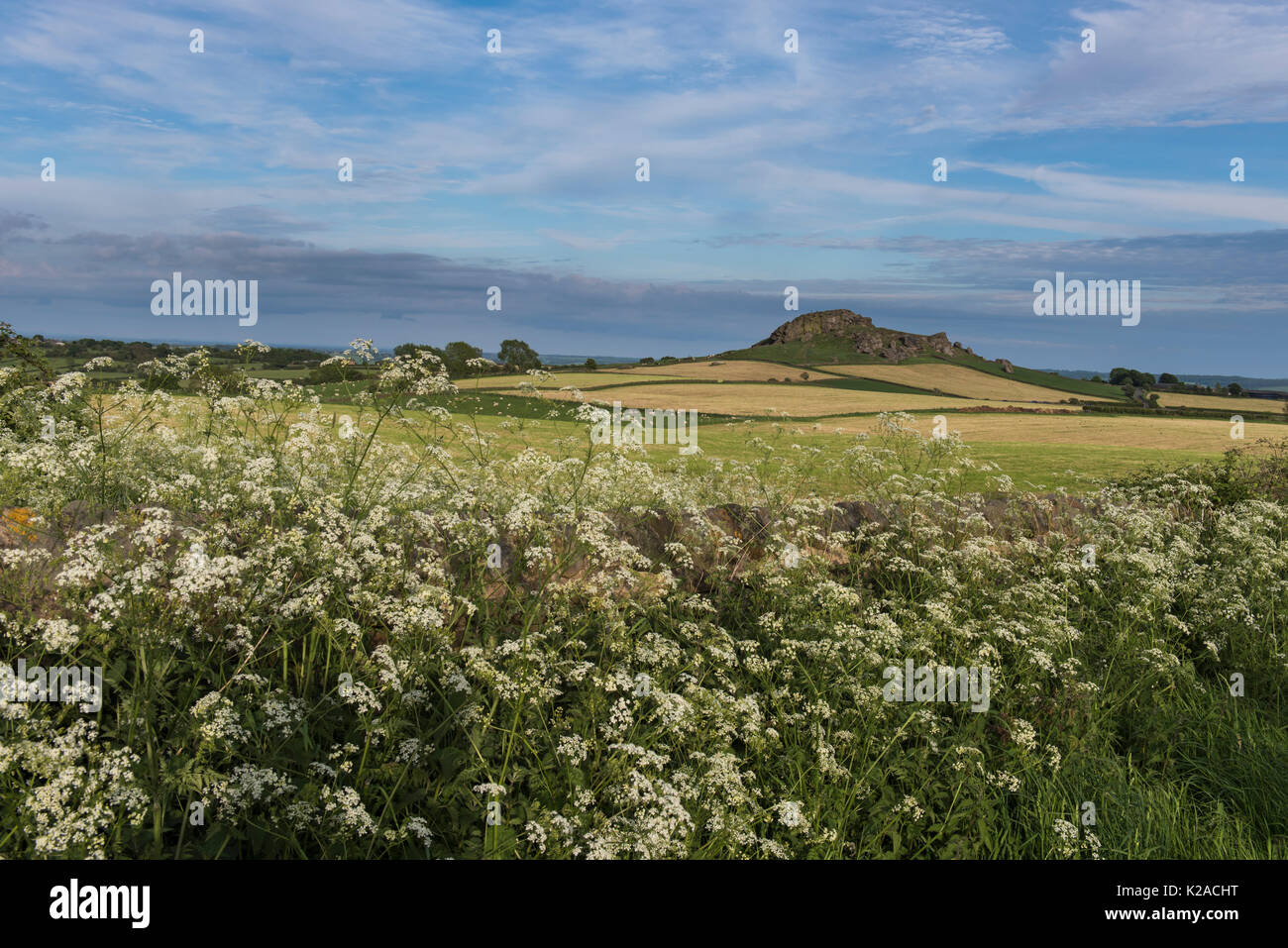 View of distinctive rocky outcrop of Almscliffe Crag under blue sky & across multi-coloured fields & Cow Parsley - North Yorkshire, England, UK. Stock Photo