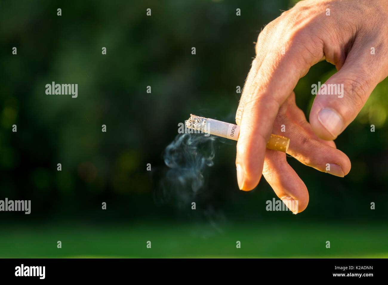 A burning cigarette in the hand of a male against green background Stock Photo