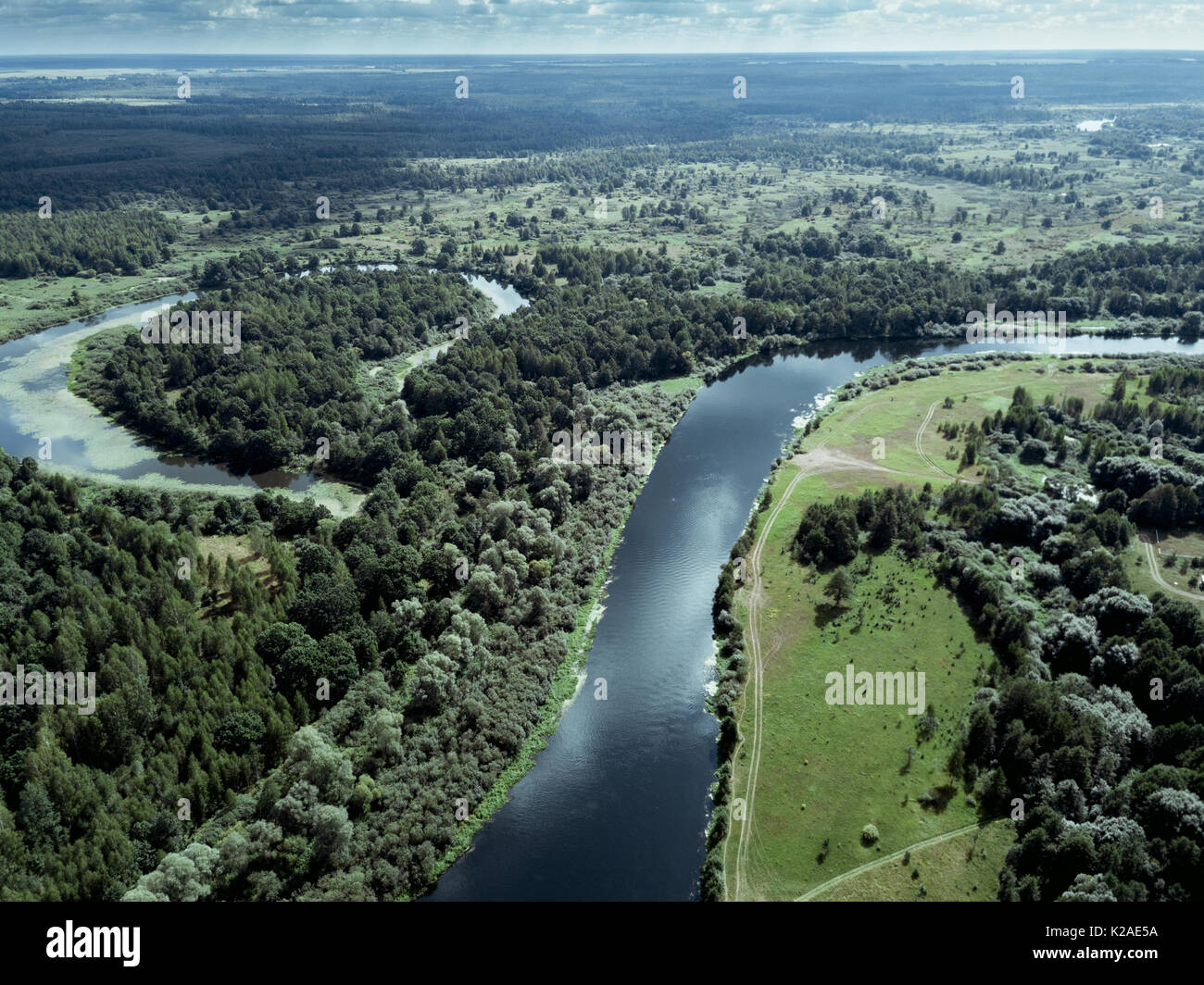River, land and trees as far as eyes can see. Great nature of Belarus ...