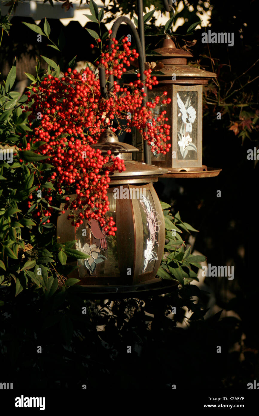 Bird Feeders Hanging From Shepherd S Hook With Bamboo Bush With