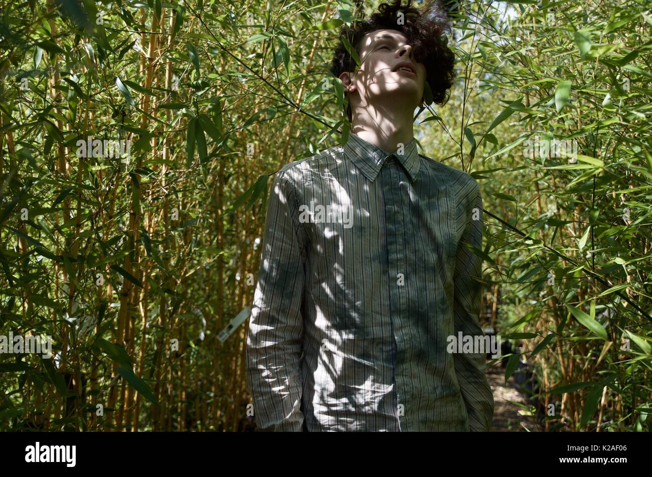 Brown hair man hi-res stock photography and images - Alamy