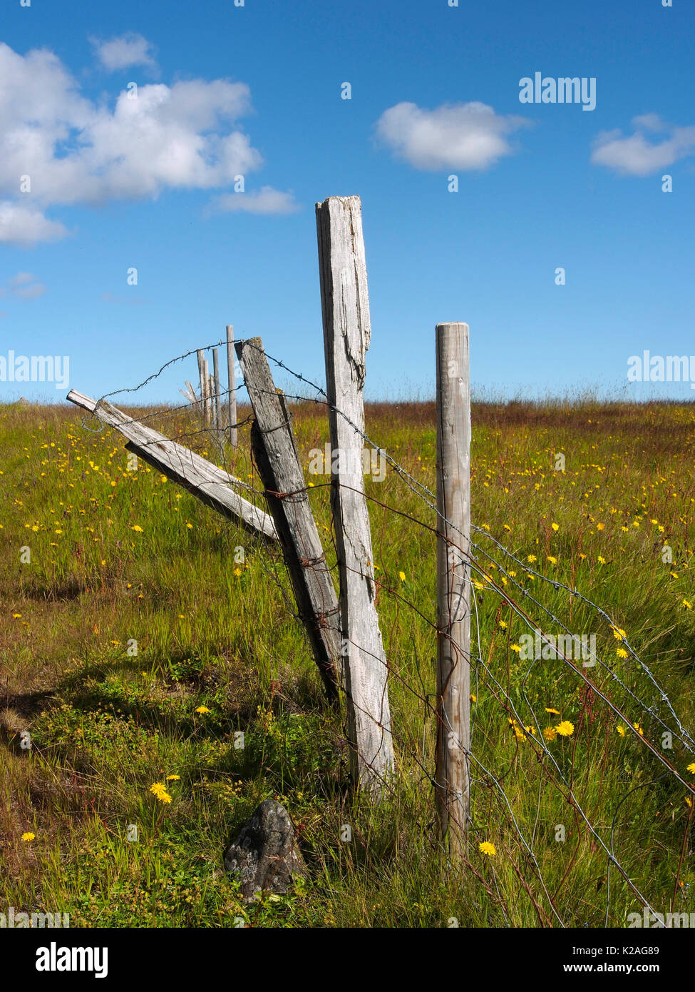 Fence posts near Holmavík, Iceland Stock Photo Alamy
