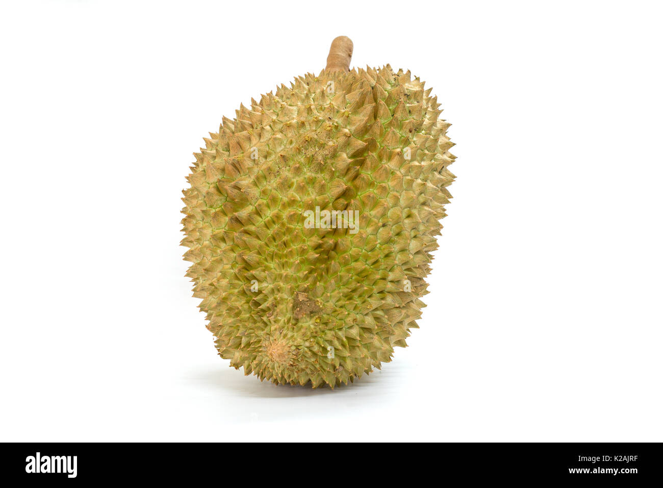 Closeup Mon Thong durian fruit on white background Stock Photo - Alamy