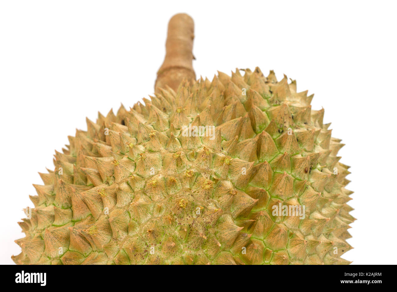 Closeup Mon Thong durian fruit on white background Stock Photo - Alamy