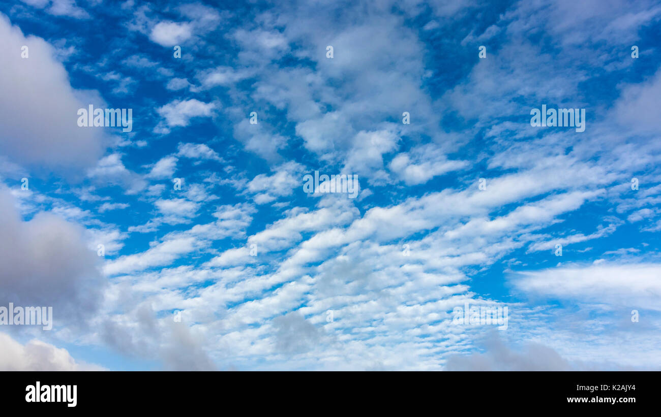 clouds pattern with blue sky Stock Photo
