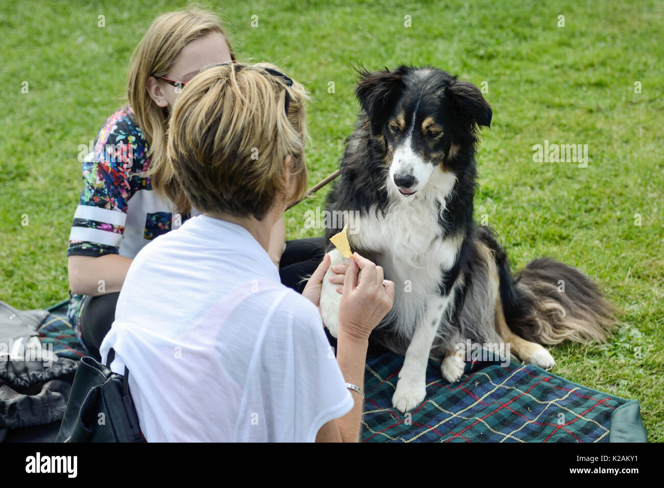Picnic on village green hires stock photography and images Alamy