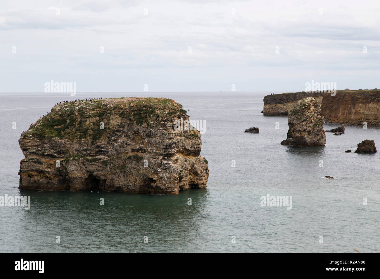 The northeast coastline at Marden in South Tyneside, England Stock Photo Alamy