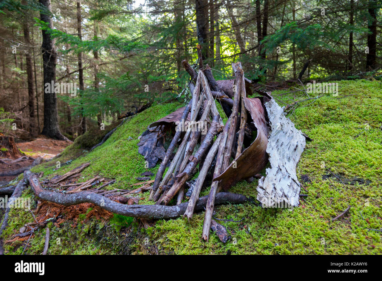 USA Maine ME Monhegan Island Fairy house in Catherdral Woods Stock Photo