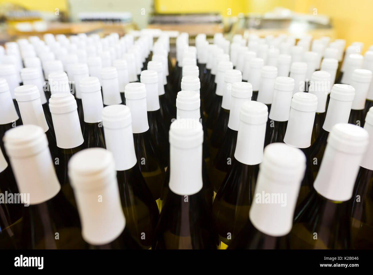 White wine bottles in a winery ordered for labeling before packed and ...