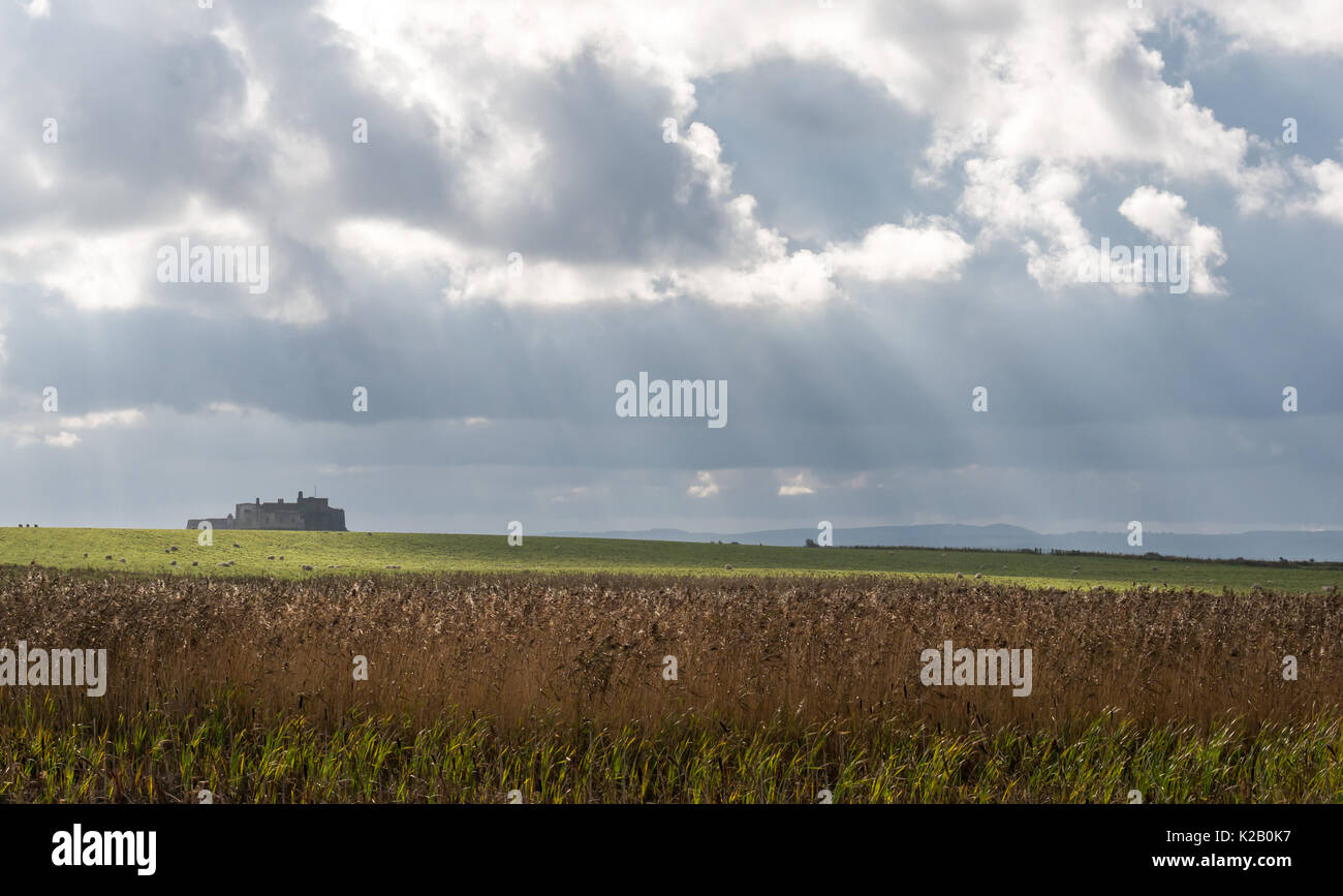 View across marsh reeds and grass field to Lindisfarne Castle, Holy Island, Northumberland, England, UK with dramatic light stream through clouds Stock Photo