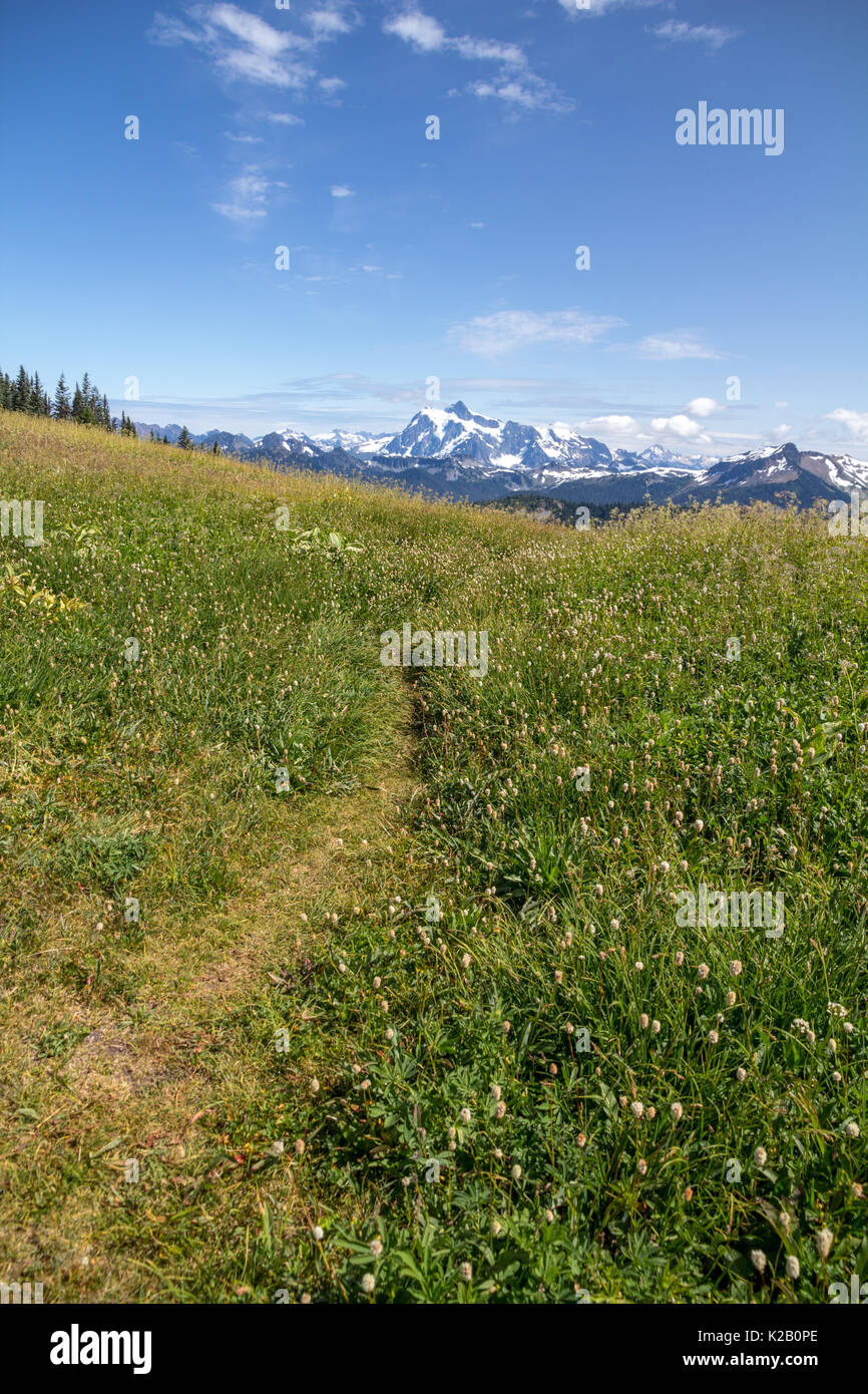 Vertical image with alpine meadows of Skyline Divide hiking trail with Mt. Shuksan in the background Stock Photo