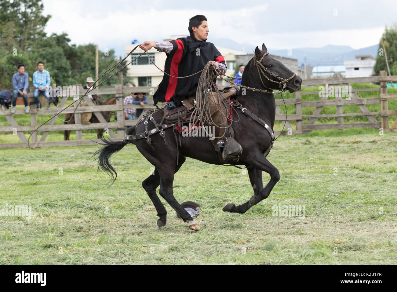 June 3, 2017 Machachi, Ecuador: cowboy called 'chagra' in the ANdes riding a horse while holding up a lasso Stock Photo