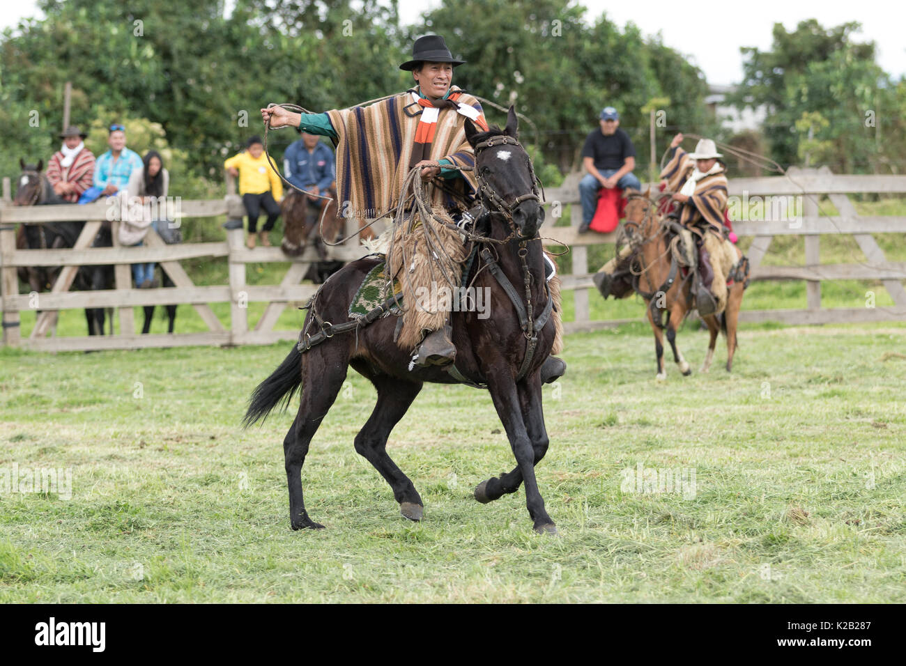 June 3, 2017 Machachi, Ecuador: cowboy called 'chagra' in the ANdes riding a horse while holding up a lasso Stock Photo