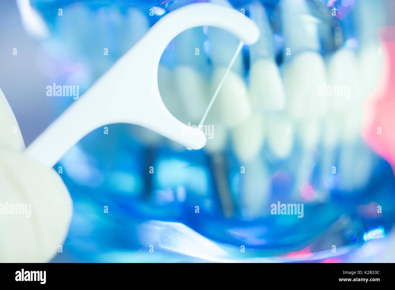 Dental floss interdental cleaning teeth on prosthetic dentists teaching