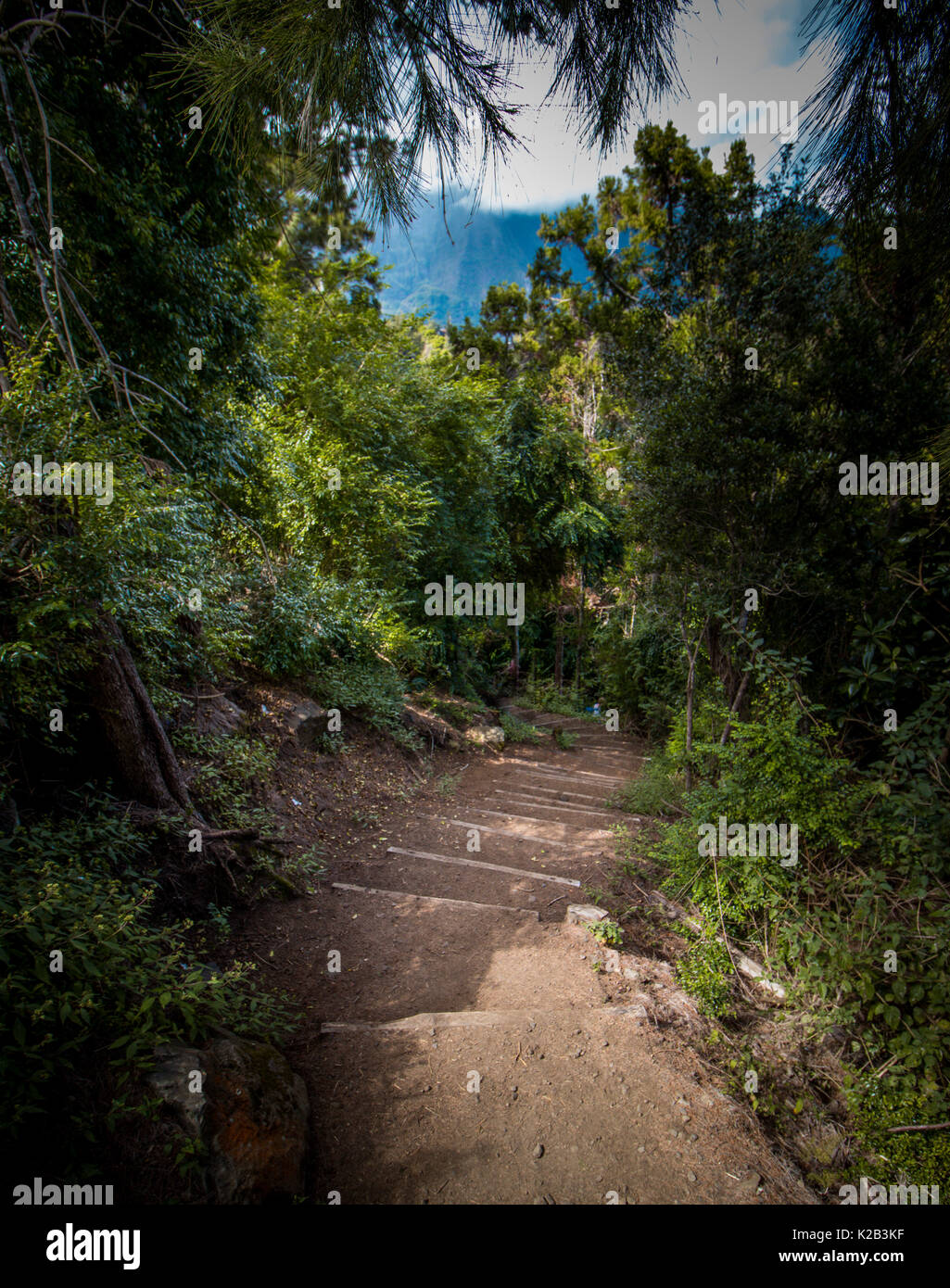 Fantastic nature of La Reunion Stock Photo