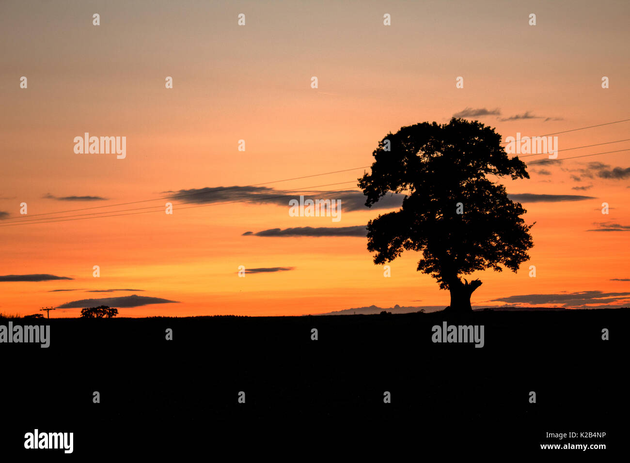 Sunset Authentic Amazing Original Sunset Stock Photo - Alamy