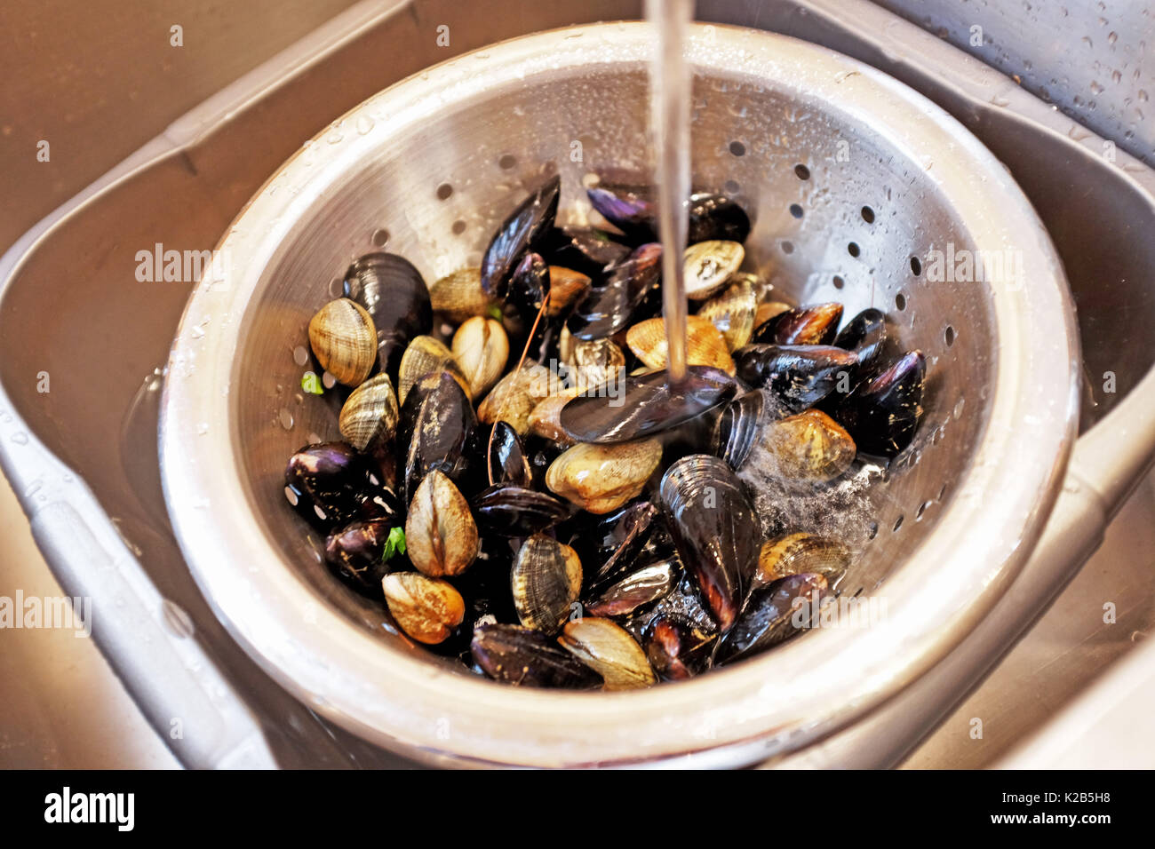Clams washing hires stock photography and images Alamy