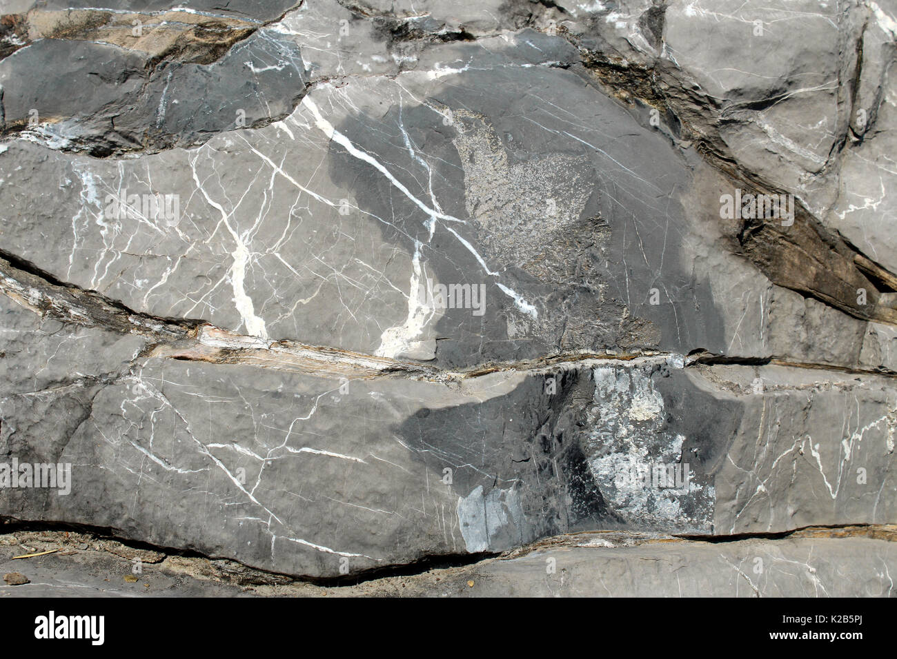 Black limestone with white calcite veins Stock Photo Alamy