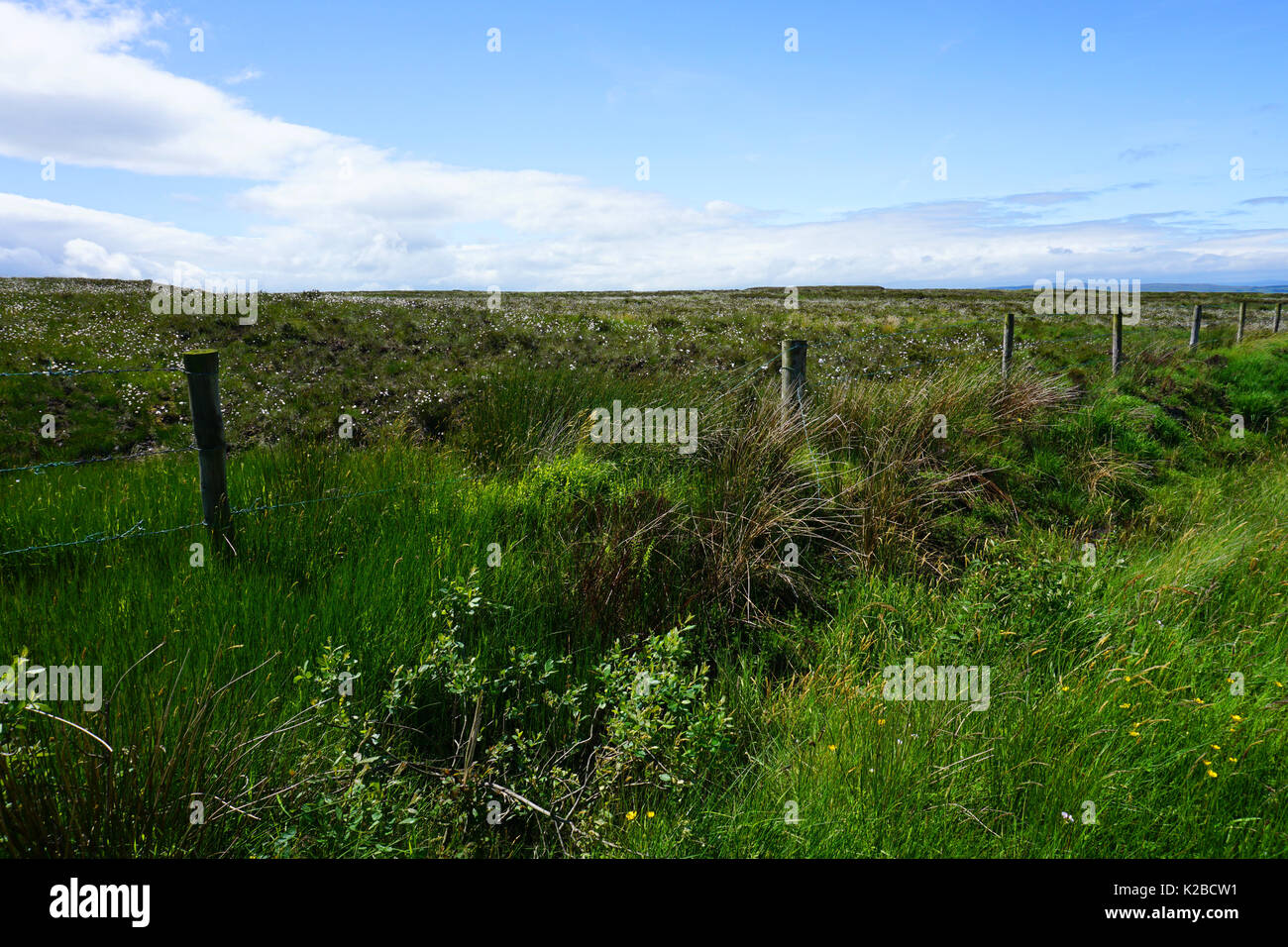 Sperrin Mountains Sperrins County Tyrone Northern Ireland Scenic Route Fence and Wild Flowers landscape Stock Photo