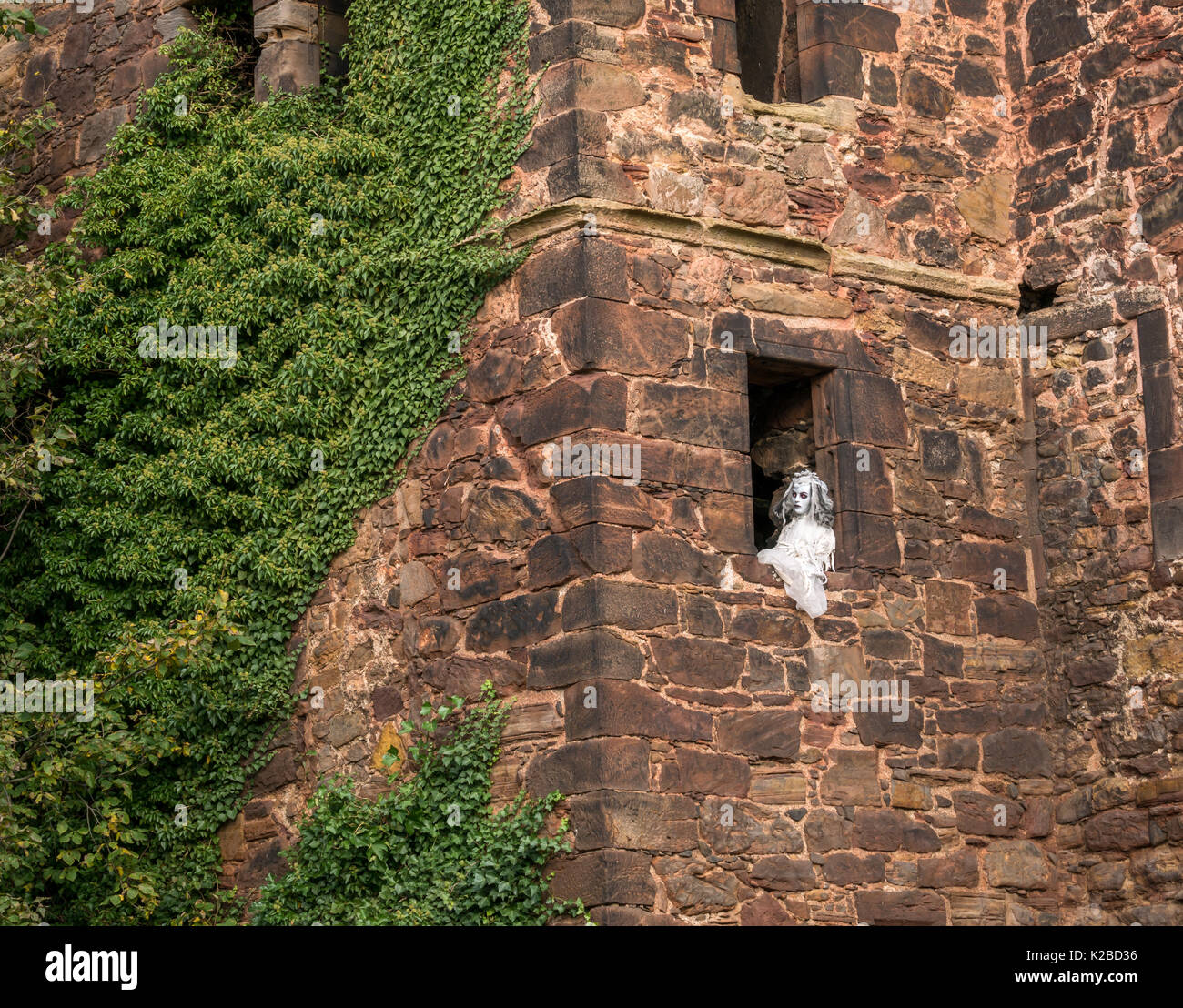 Ghostly woman with flashing red eyes in window opening of ruined ivy covered Redhouse Castle at Halloween time, East Lothian, Scotland, UK Stock Photo