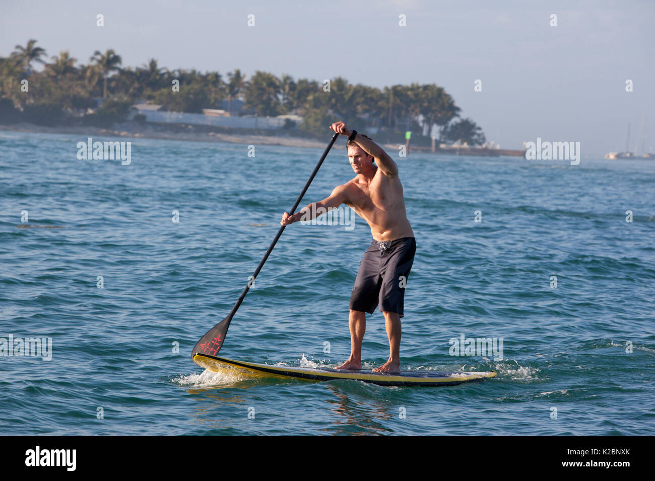 Paddleboarder in Key West, Florida, USA, January 2011. Stock Photo