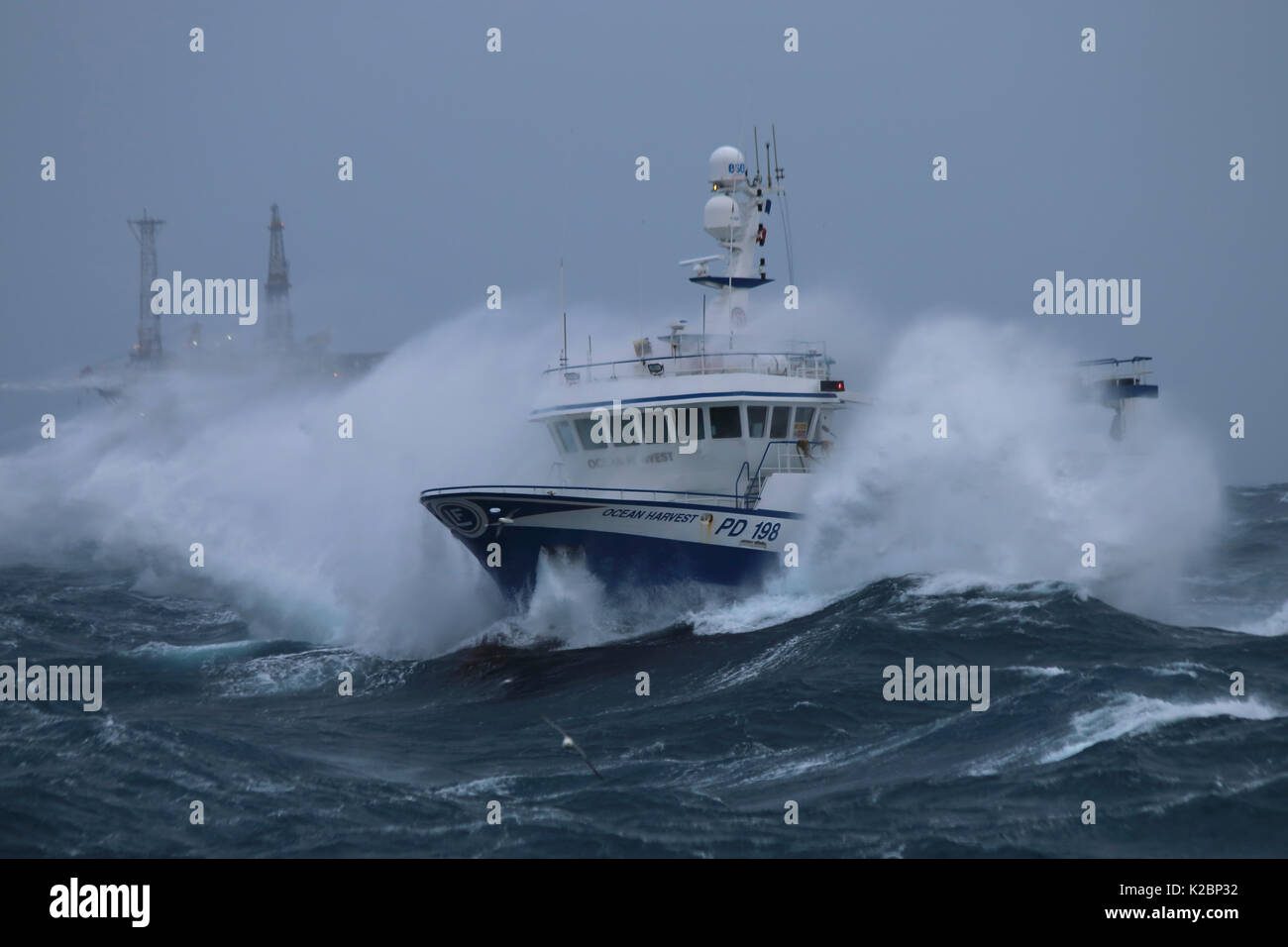 Fishing vessel 'Ocean Harvest' in heavy weather on the North Sea, January 2016.  Property released. Stock Photo
