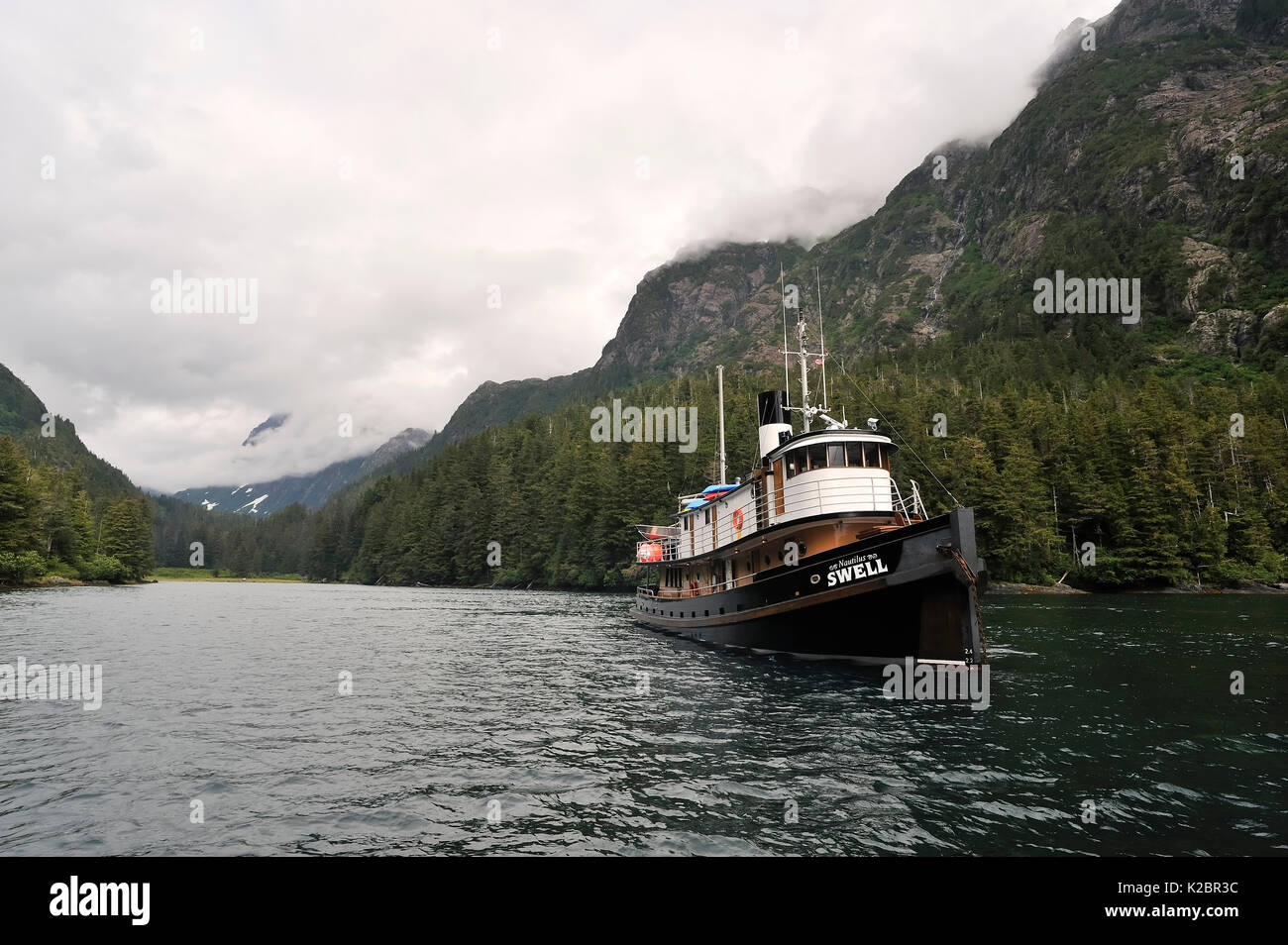 The Nautilus Swell, a former tug built in 1912 which has been completely refitted and is now a liveaboard dive boat in a bay of Alexander Archipelago. Gulf of Alaska, Pacific Ocean. All non-editorial uses must be cleared individually. Stock Photo