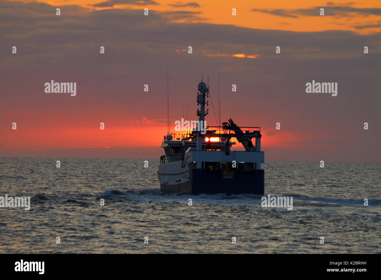 Fishing vessel 'Ocean Harvest' heading for home as the sun sets over the North Sea, UK, August 2014. Property released.  All non-editorial uses must be cleared individually. Stock Photo