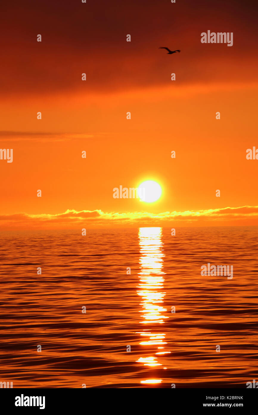 Reflection of the setting sun on the North Sea, September 2014.  All non-editorial uses must be cleared individually. Stock Photo