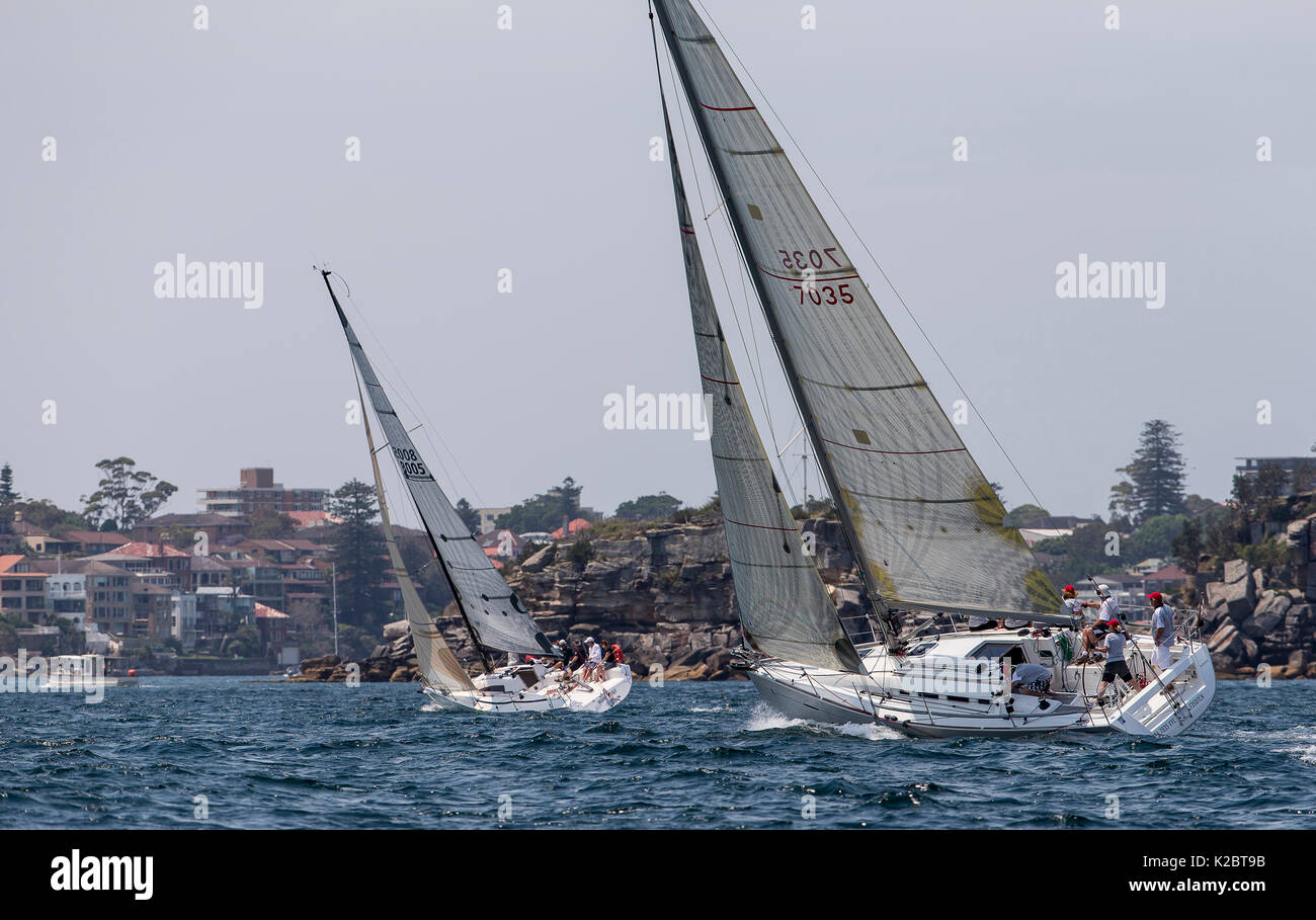 Sail boats racing in the Sydney Harbour, New South Wales, Australia