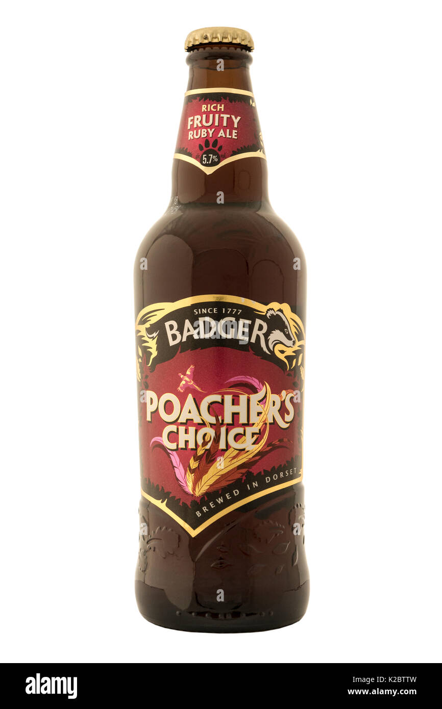 Hall & Woodhouse (Badger) Brewery Poachers Choice bottled beer. Stock Photo