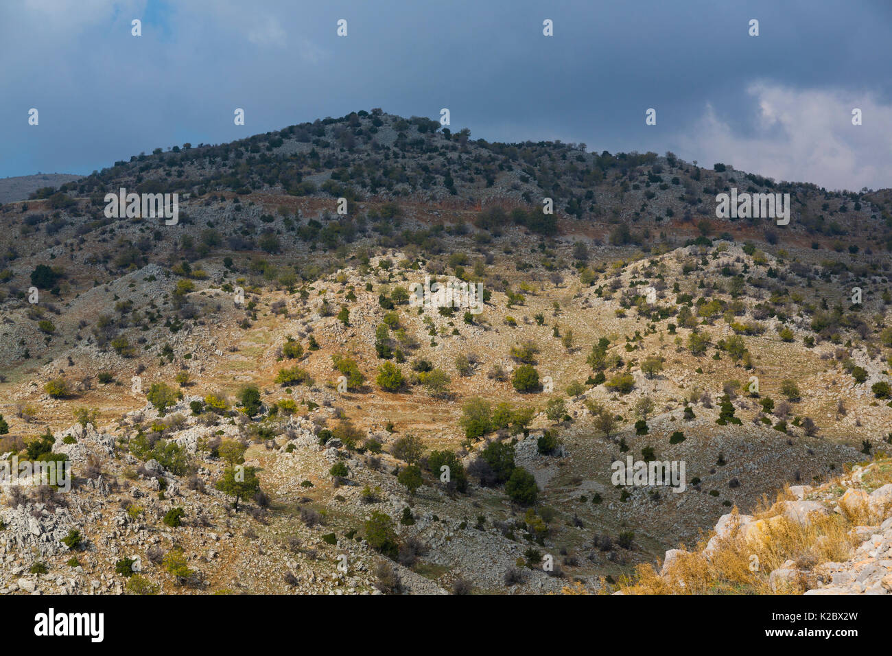 Mountain landscape, Mount Hermon, Golan Heights, Israel, November. Stock Photo