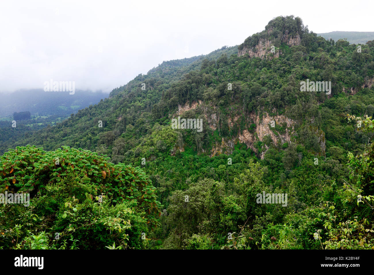 Landscape of the Sanetti Plateau, Bale Mountains National Park. Ethiopia, November 2014 Stock Photo