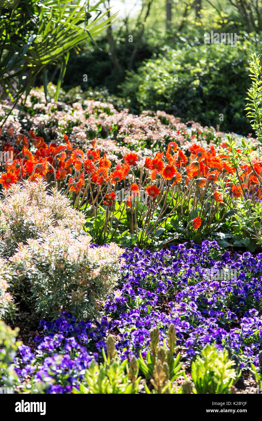 Keukenhof Gardens in Amsterdam, Holland. Beautiful tulips Stock Photo ...
