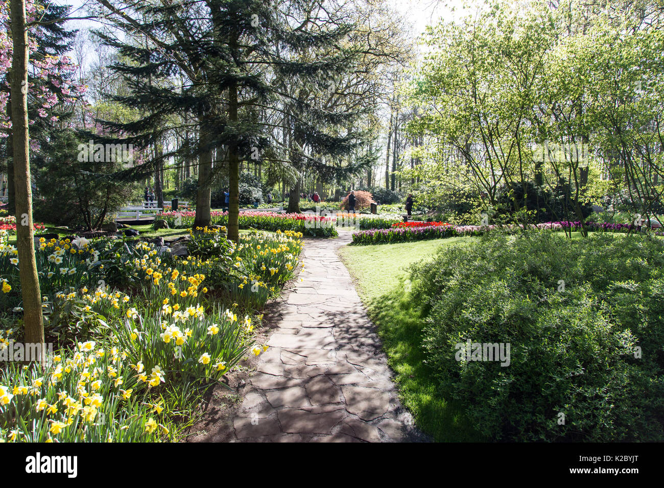 Keukenhof Gardens in Amsterdam, Holland. Beautiful tulips Stock Photo ...