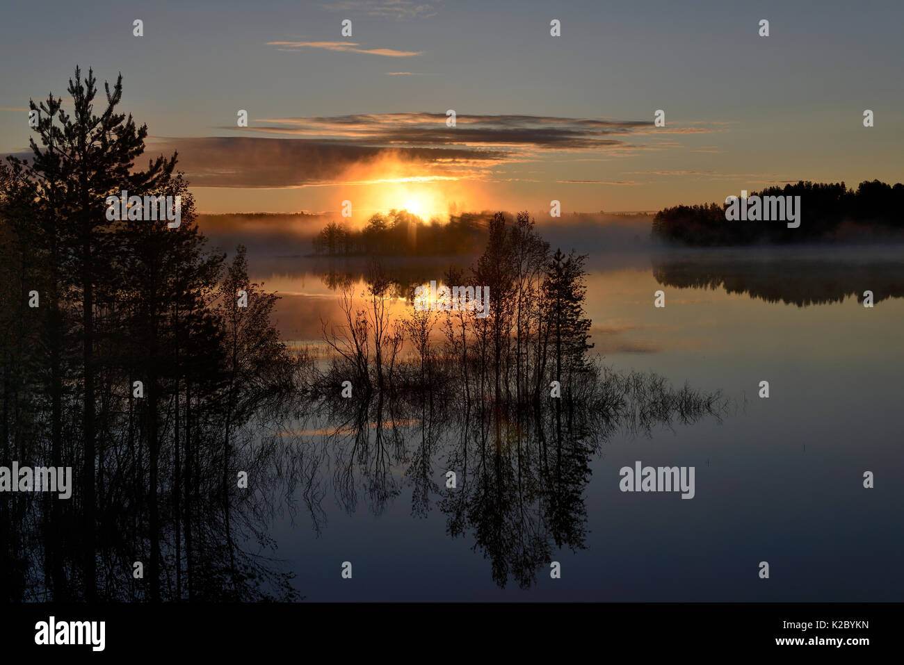 Wetland landscape at sunset, with trees reflected in the water, Lapponia, Finland, June 2015. Stock Photo