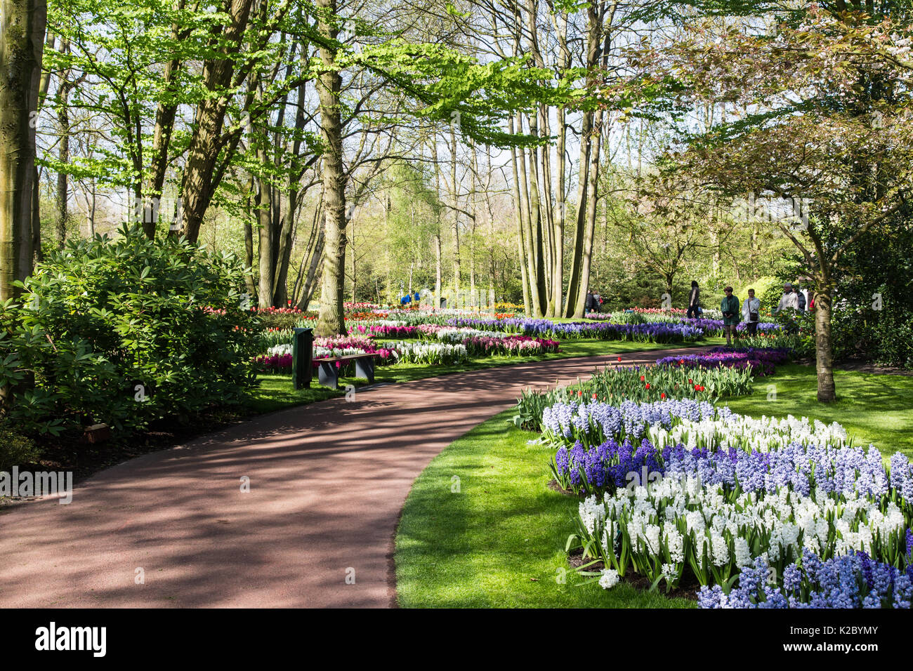 Keukenhof Gardens in Amsterdam, Holland. Beautiful tulips Stock Photo ...