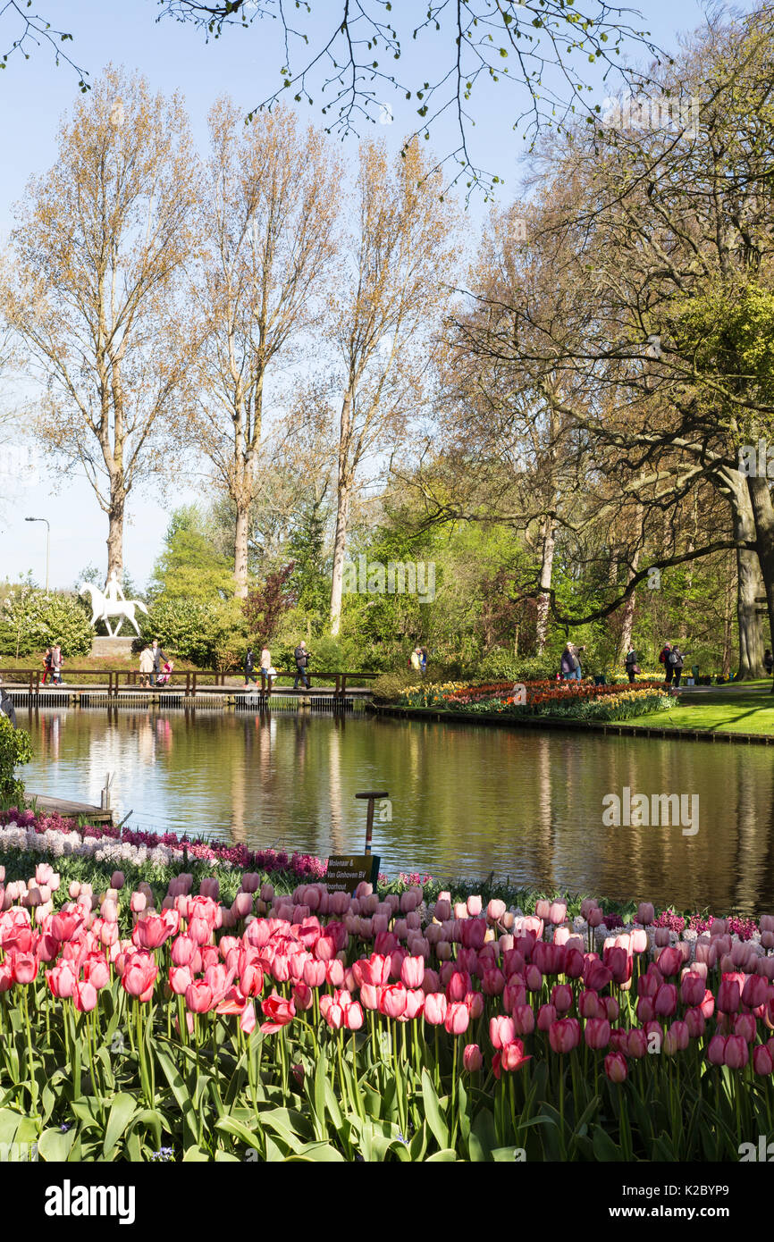 Amsterdam keukenhof gardens tulips hires stock photography and images