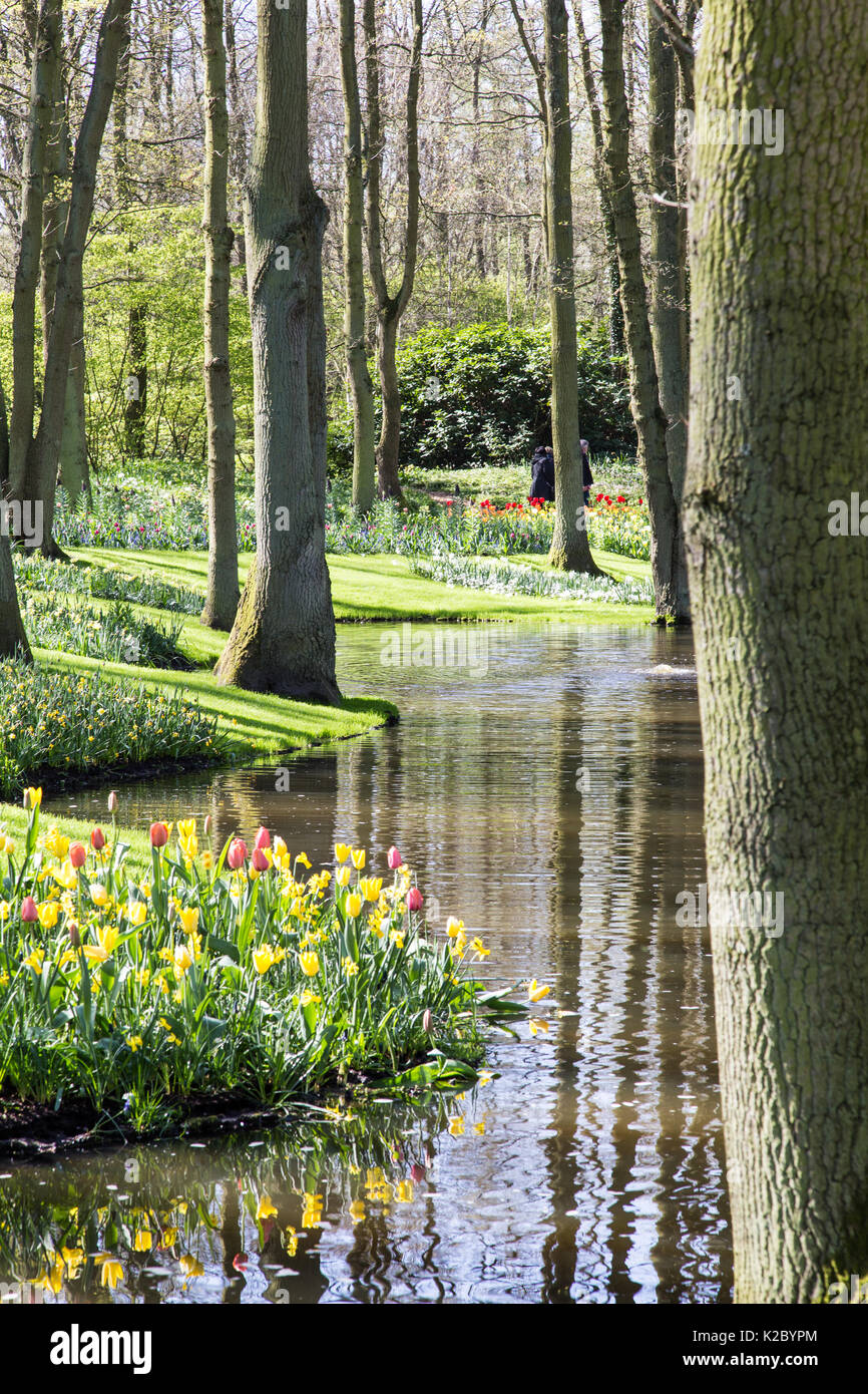 Keukenhof Gardens in Amsterdam, Holland. Beautiful tulips Stock Photo ...