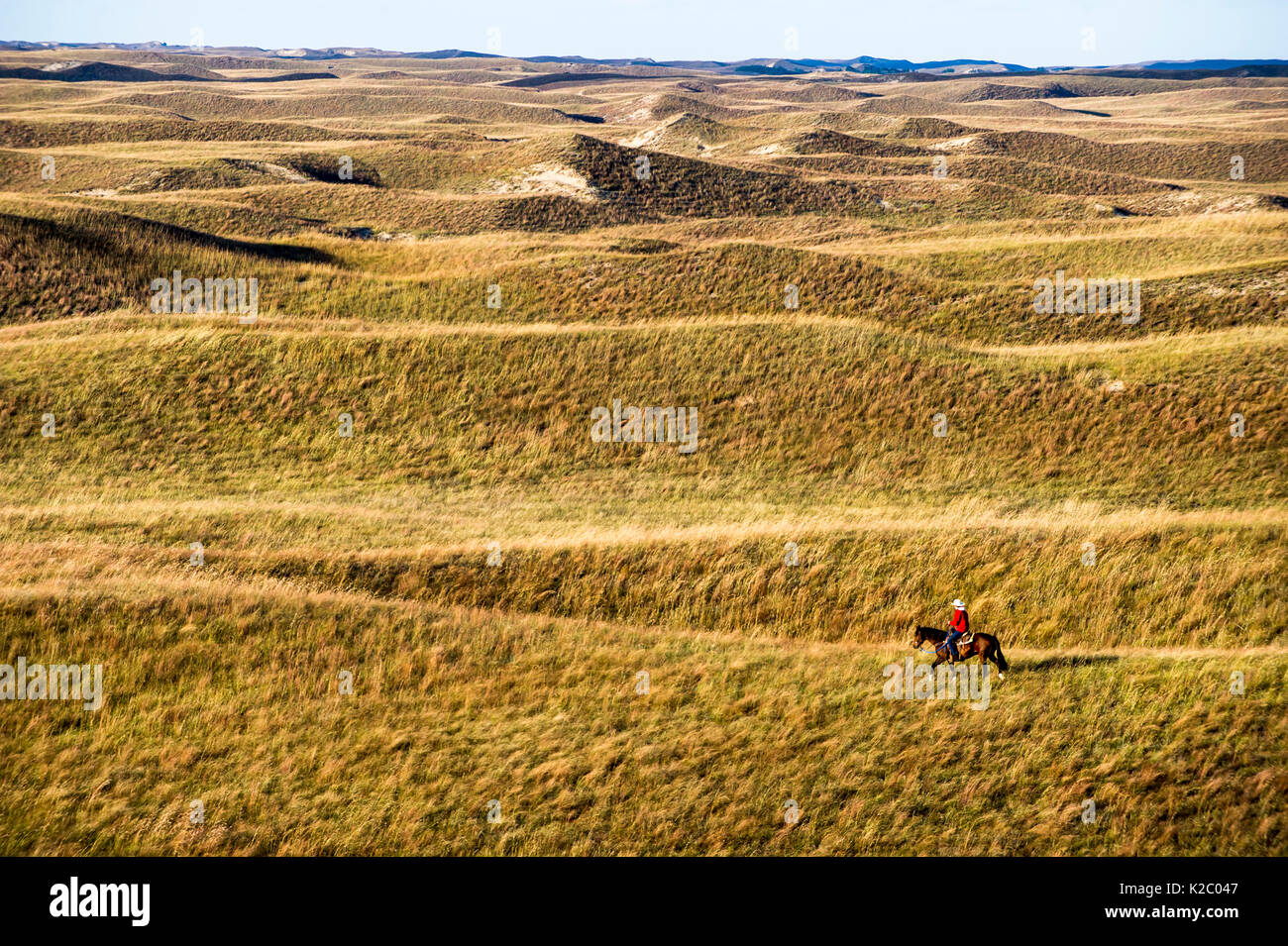 Aaron Price riding his horse 'Beau' over his Ranch, Gracie Creek, Sandhills, Nebraska. Garfield County, Nebraska, USA. October 2014. Stock Photo
