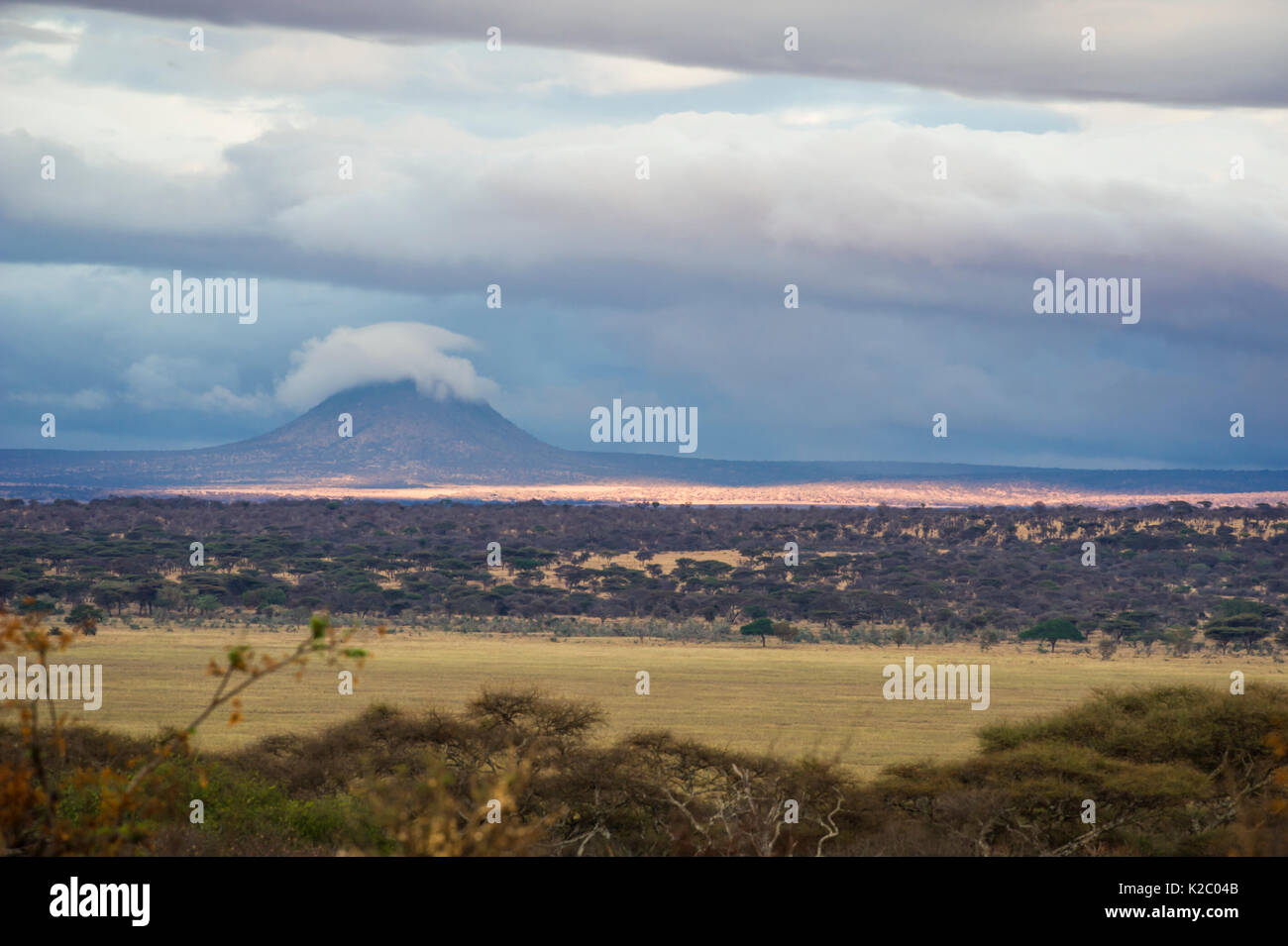 Landscape and volcanic mountain, Tarangire National Park at sunset, Northern Tanzania. September 2014. Stock Photo